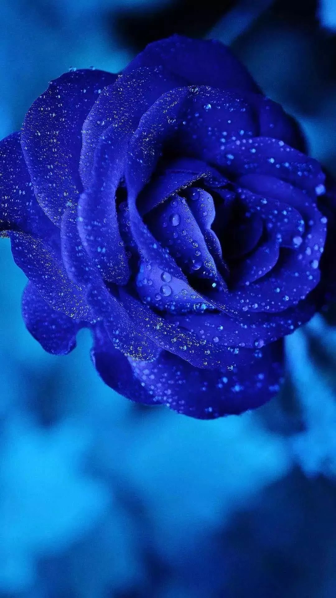 绿色系壁纸蓝色系壁纸