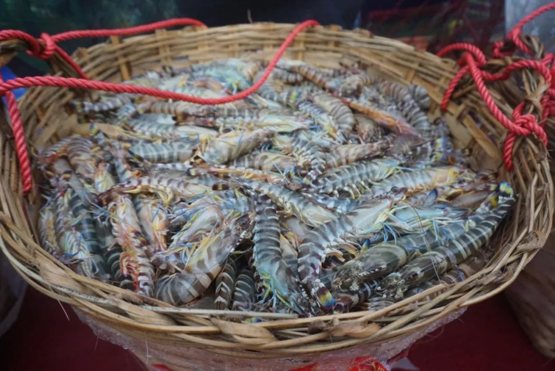 开海啦北海一条鱼卖出708888元高价附广西最新海鲜价格