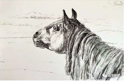 老家宜阳艺术人生画家王光辉钢笔画欣赏