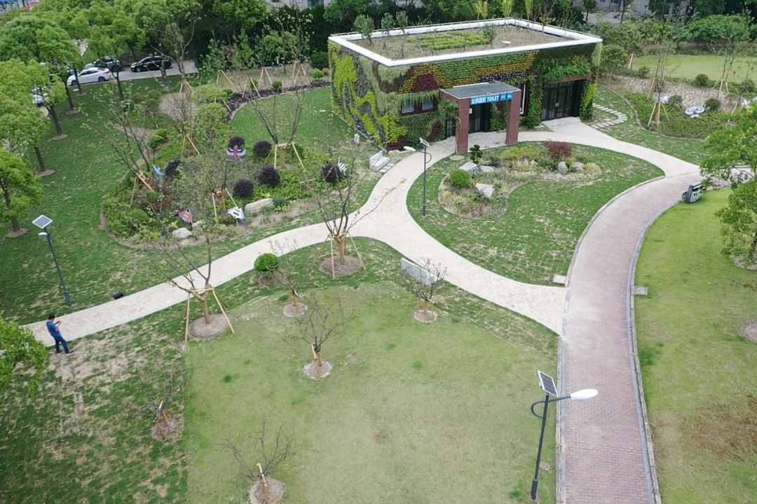 如江龙路南侧(浦锦路-浦申路)有一条长达600米的珊瑚绿篱,它紧靠江龙