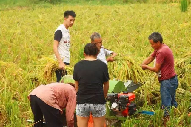 朋友圈传疯了,最近全乐山都在找这些人!因为马上就要