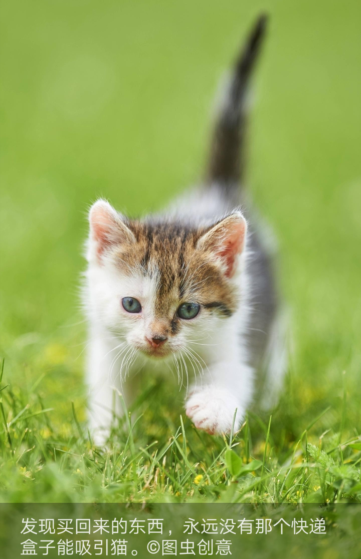 睁眼看世界可爱的动物2019819