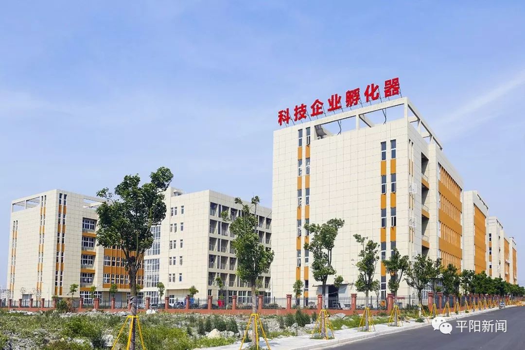 平阳县滨海新区工业经济 高质量发展实现"半年红"