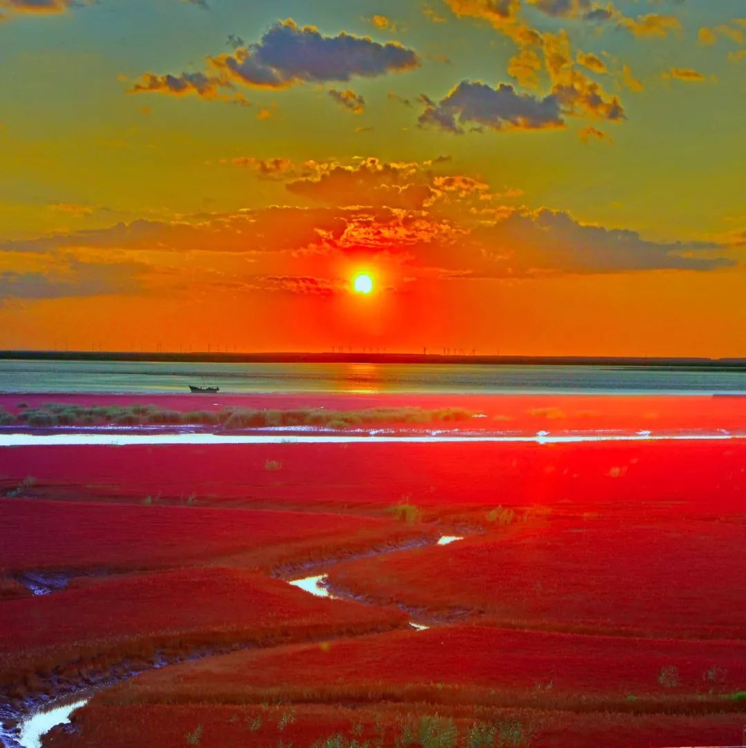 中国独一无二的血色海洋一年只红一次