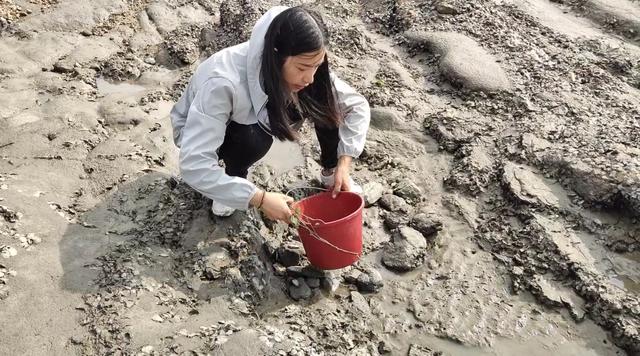 我换号了还是叫丽芳赶海这个号不更新视频了谢谢大家关注