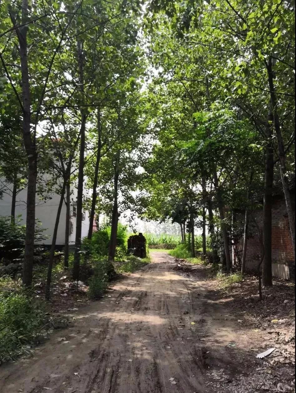 家,从未遗弃我们,我们的村庄依然还在,只是我们选择了离别,那些路慢慢