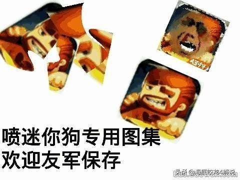 听说迷你世界要出国际版了不过我们还不想让它走出中国