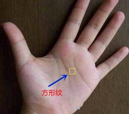 方形纹在手相中,金玉满堂,夫唱妇随,逢凶化吉!