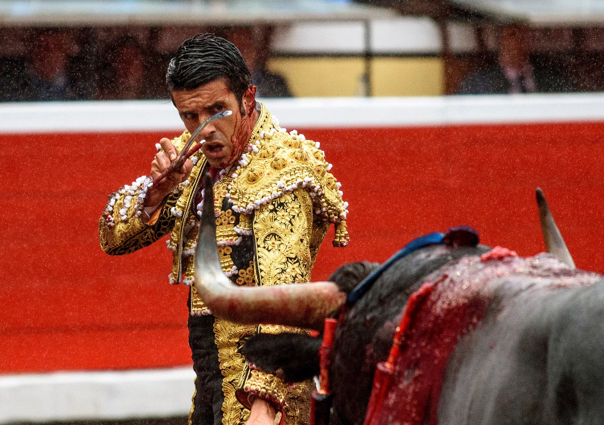 8月18日,在西班牙毕尔巴鄂,西班牙斗牛士埃米利奥·德胡斯托遭到公牛