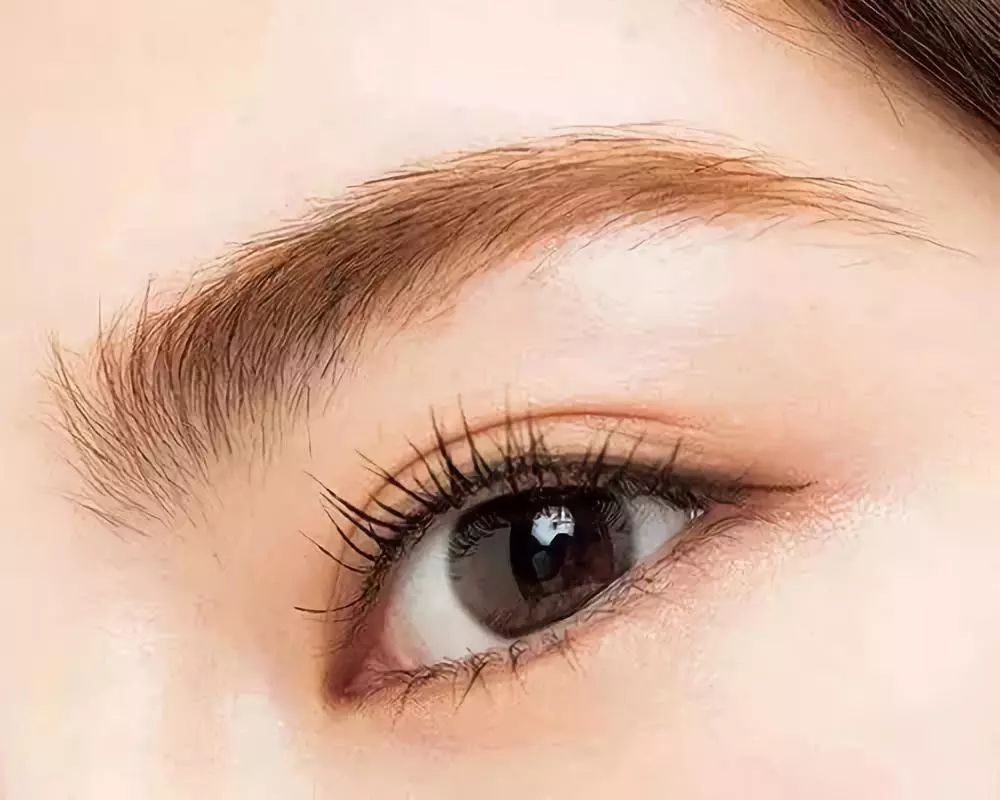 新手学化妆一看就会的眉毛的画法!_眉头