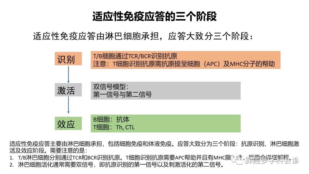 卡瑞利珠单抗ppt图片