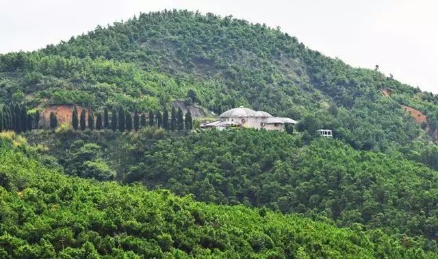 帽天山的沧海桑田_澄江县