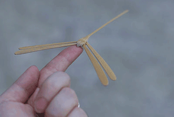 平衡竹蜻蜓