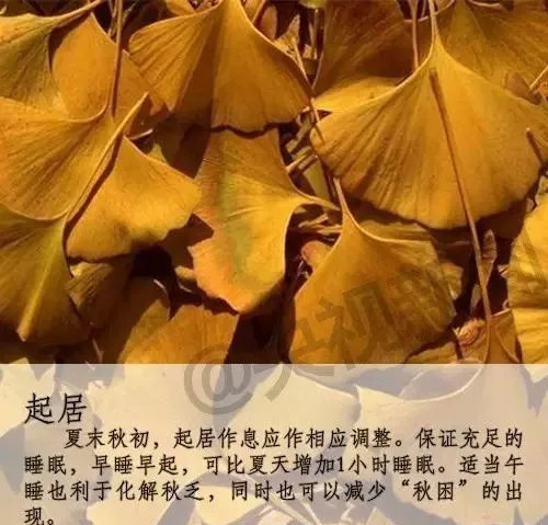 快擴散提醒!後天出伏,氣溫將……_長春