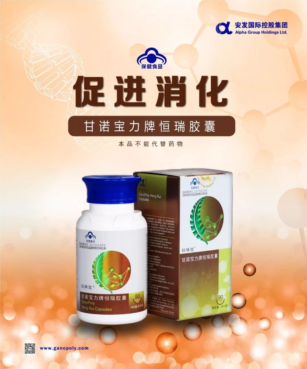 甘诺宝力牌恒瑞胶囊以白术,山楂,陈皮,麦芽,山药,猴头菇,淀粉,硬脂酸