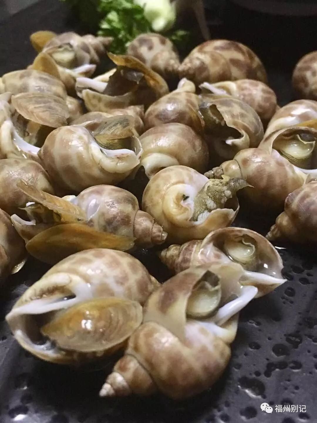 福州这家私房菜没有菜单上菜后却令人惊喜连连就在总院旁觅食32