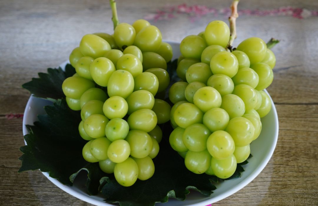 带着一颗放松的心,游历一番田园美景,采回一篮收获,在硕果累累的葡萄