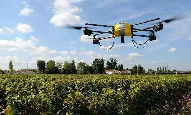 漫谈|人工智能将给农业创造哪些"不可能"?_种植