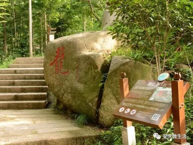 乌龙溪森林公园门票图片