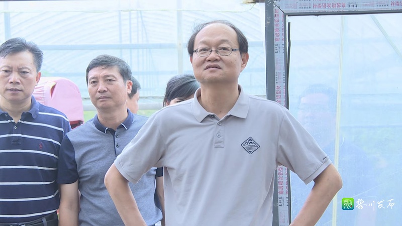 市人大常委会副主任宋东方率调研组到我县调研设施农业及高标准农田