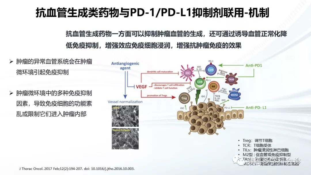 卡瑞利珠单抗ppt图片