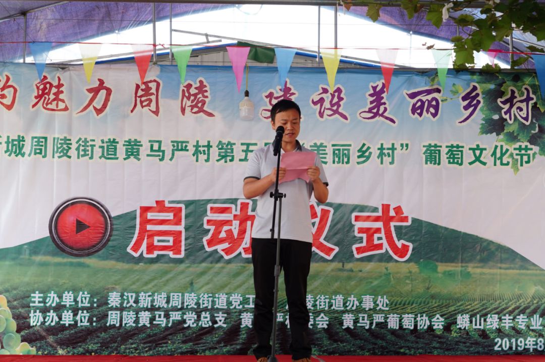 周陵街道黄马严村第五届葡萄文化采摘节甜蜜开场