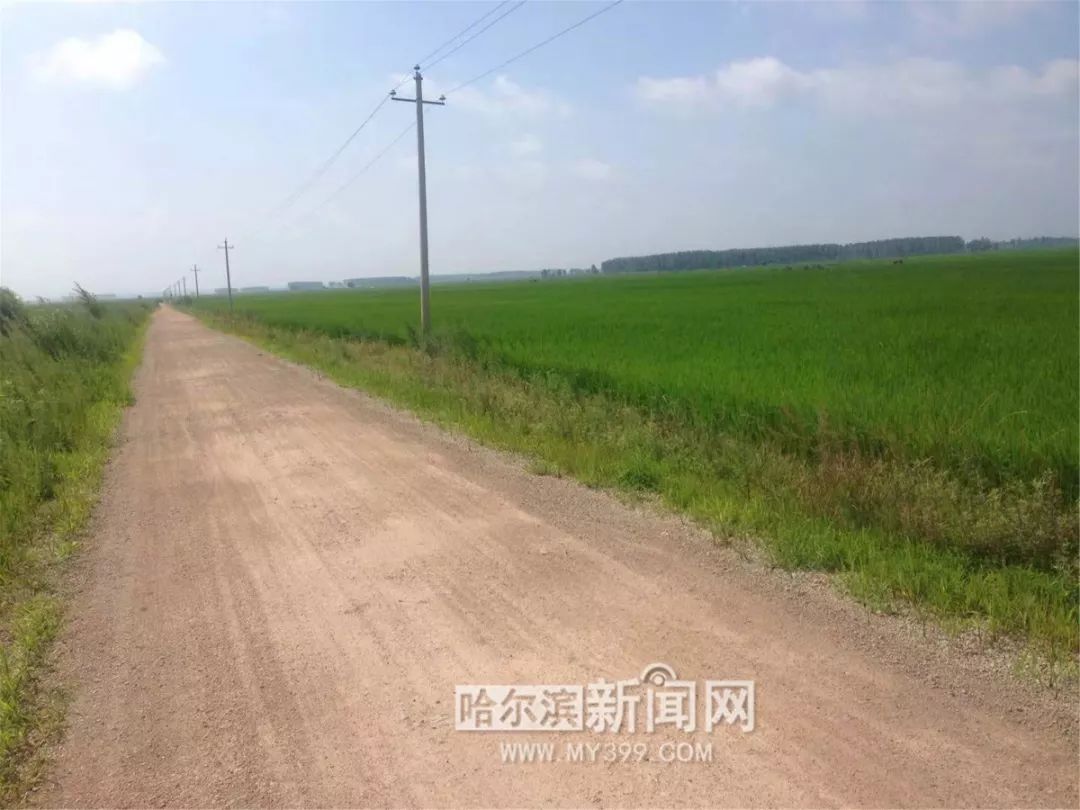 扶贫工作队进村变化最大的是田野最美田间路每年长十公里