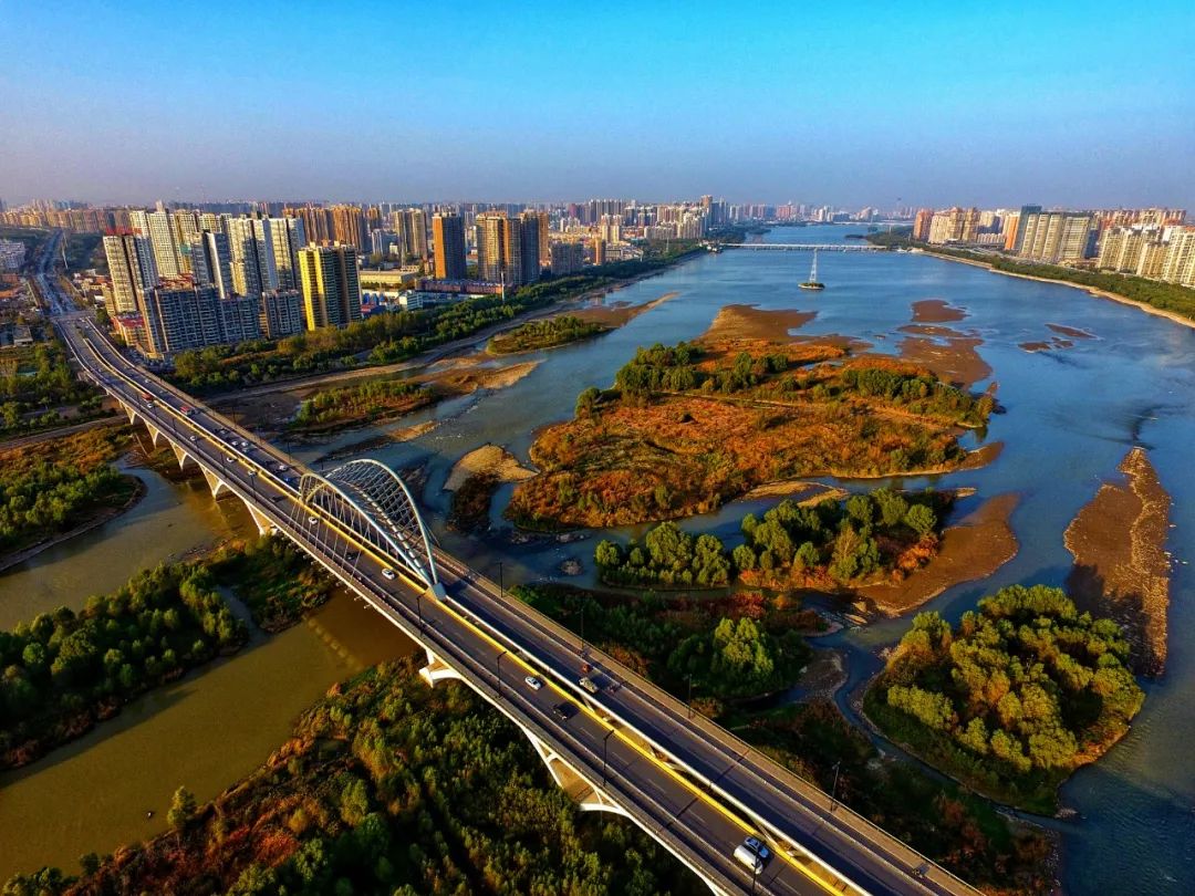 洛河上的桥!每一座都是最美风景!