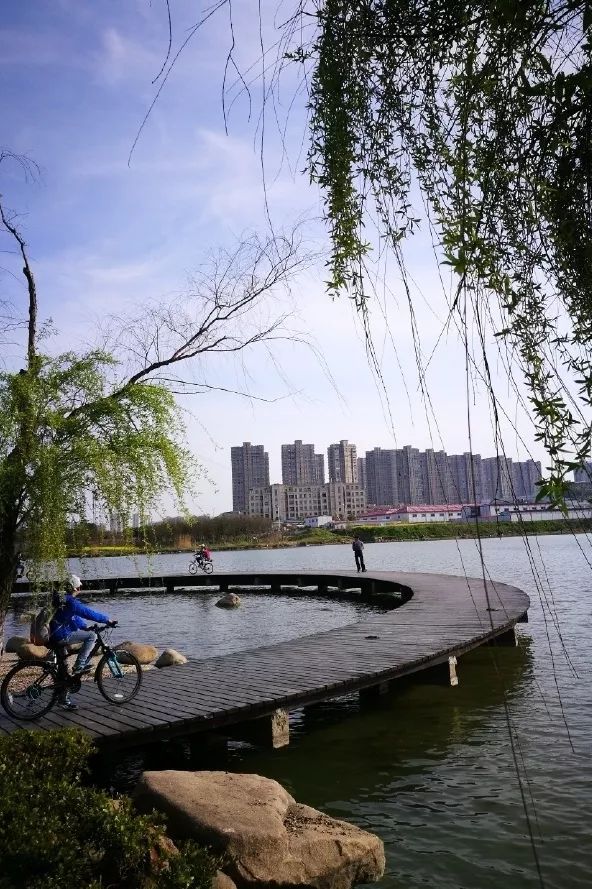滨湖晨跑免费公园大起底,在清早的阳光中快乐奔跑吧!_蠡湖大桥