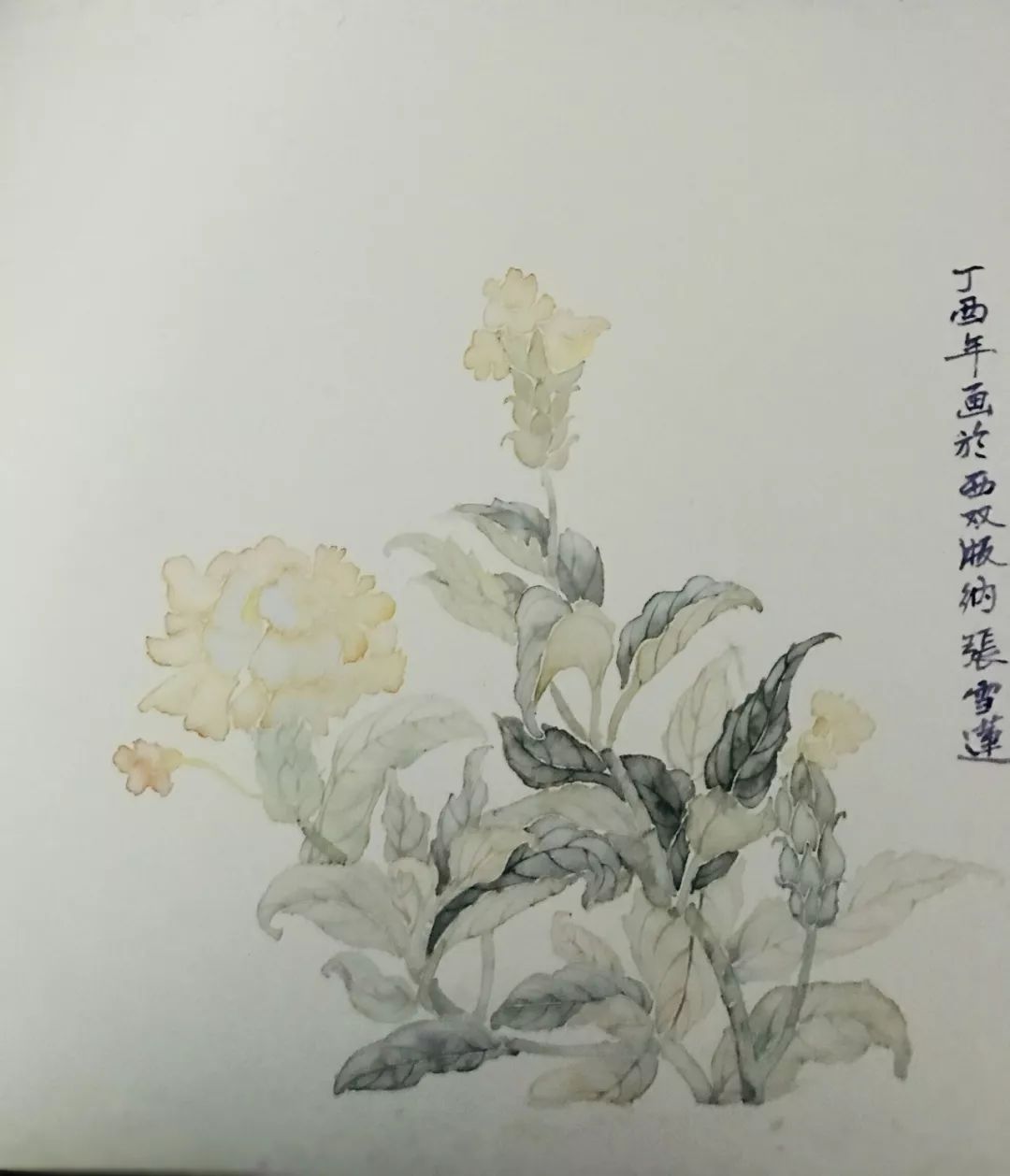 张雪莲没骨花鸟画临摹班招生只需150元
