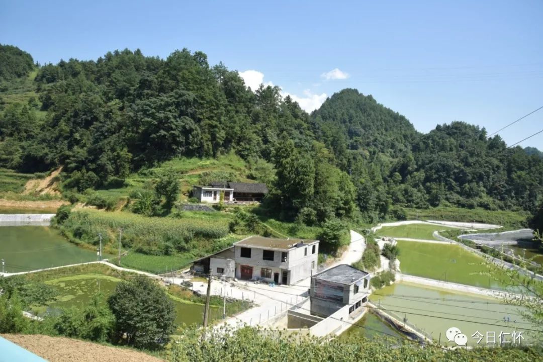 下坝村也开始打造自己的育苗基地,基地建成后泥鳅产业的产值有望翻番