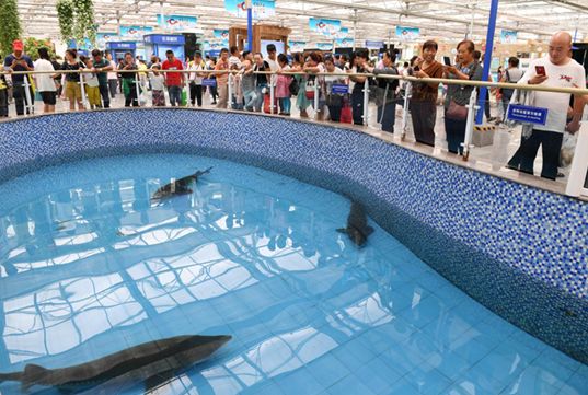 虽然黑龙江与吉林的地域性相似,很多农产品同质化的特性也比较明显,但