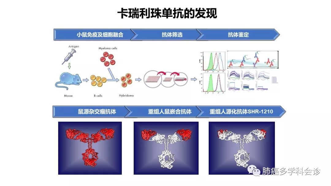 卡瑞利珠单抗ppt图片