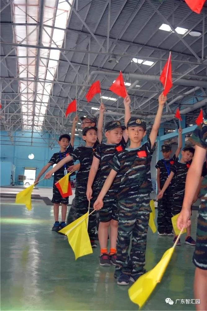 小小旗语兵优秀少年郎