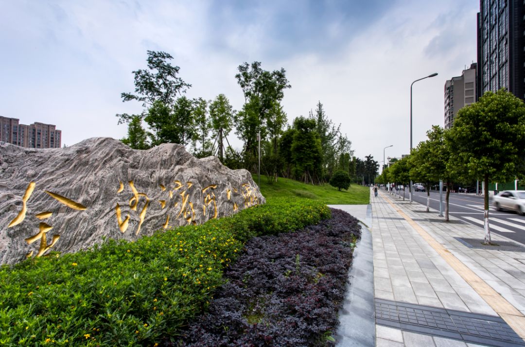 快来看,它们都是谁?_新都区