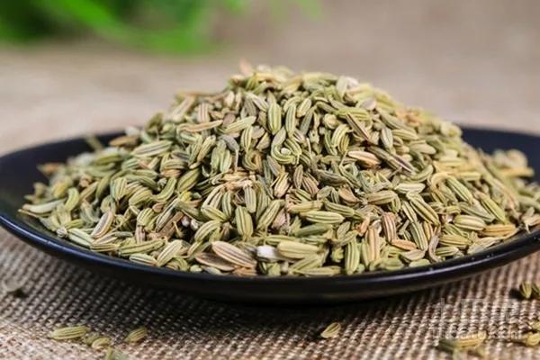 好胃友特食椒叶茴香饼,从守护你的胃开始,守护你的健康!