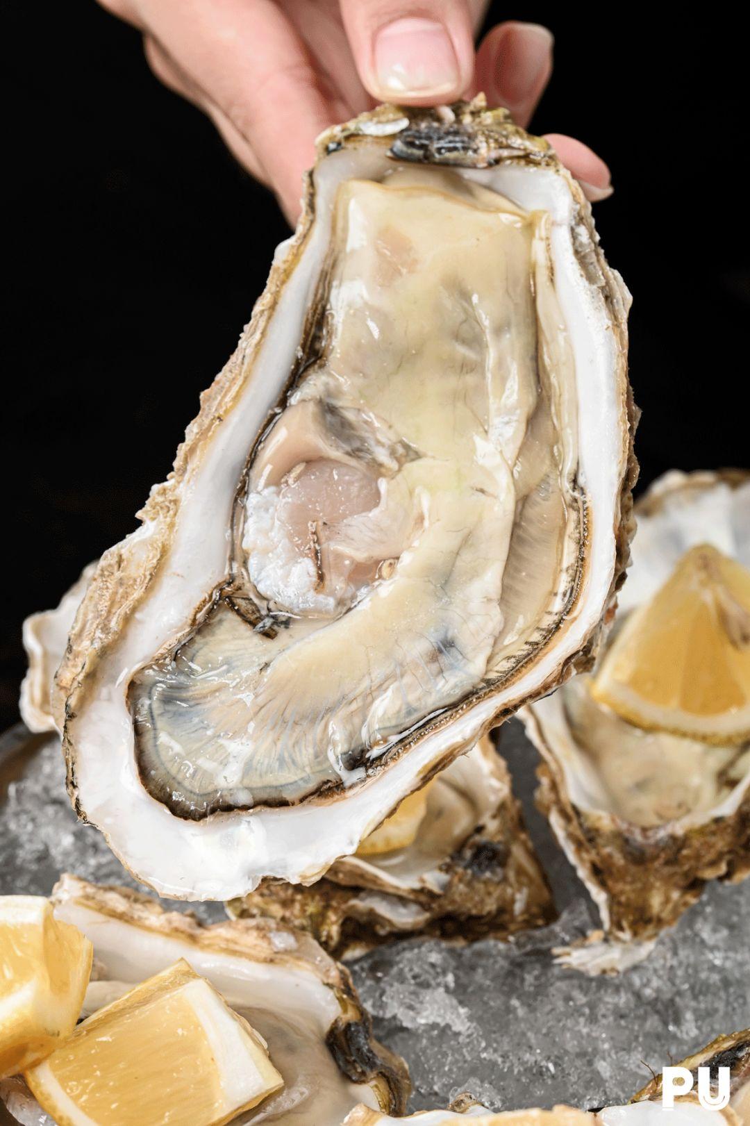 手掌大生蚝鲜甜肥美爽滑上桌前还爱生气