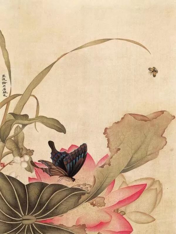 张雪莲没骨花鸟画临摹班招生只需150元