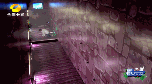 被密室搞到叫妈妈的名场面在石头城也是不可多见的但你还别说于莎莎