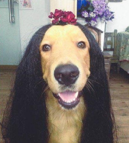 搞笑gif:闺蜜真是坑我,给我介绍一个老头子相亲