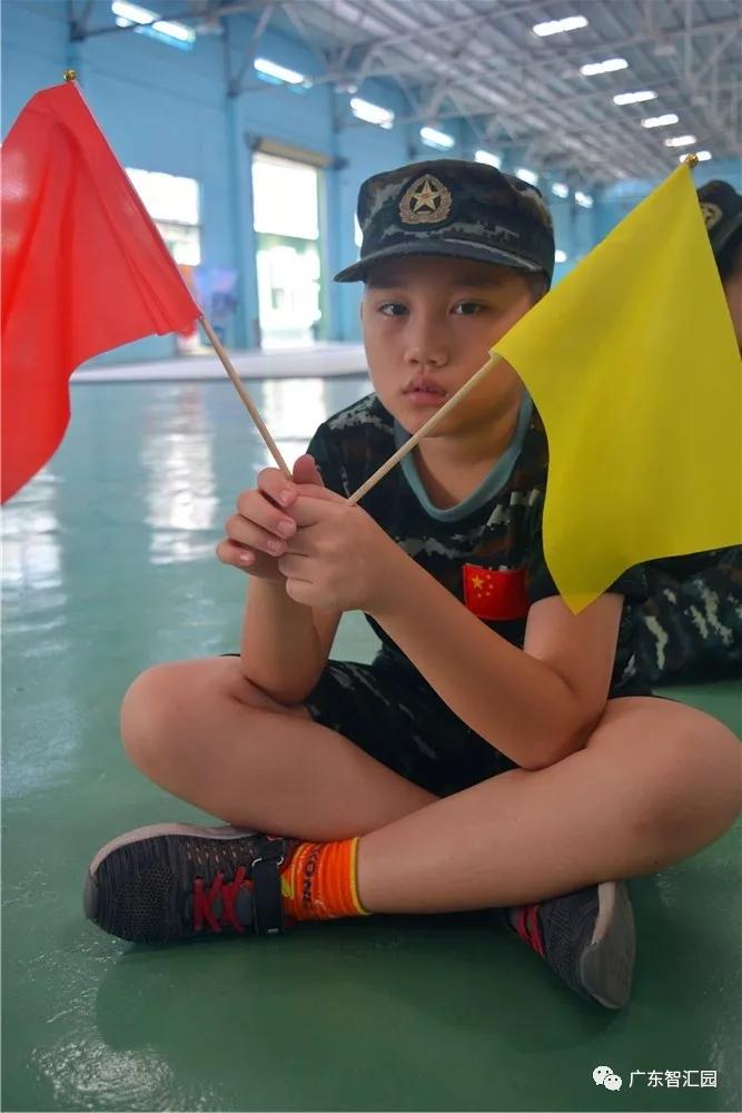 小小旗语兵优秀少年郎