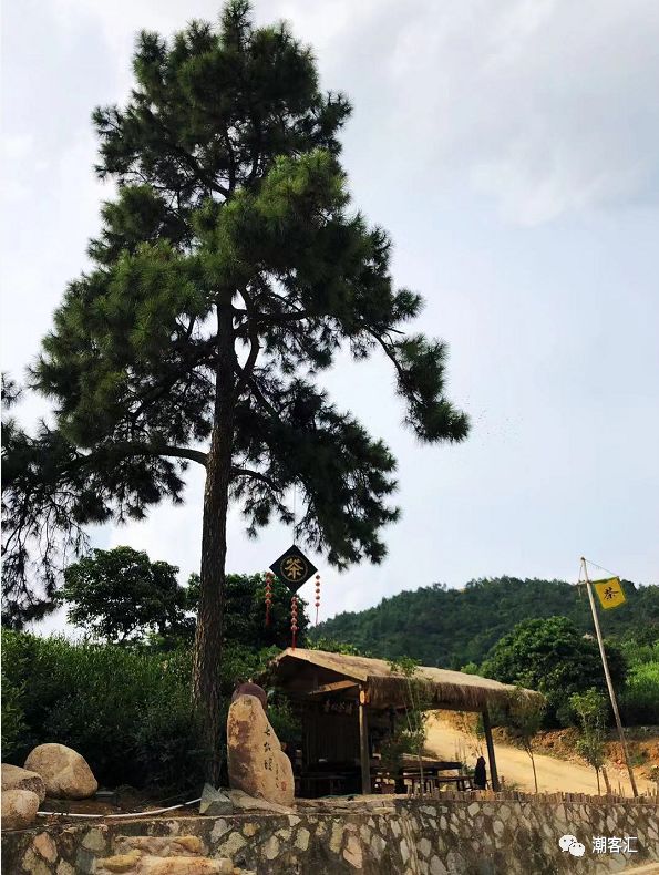 汤坑这个总投资10亿的新景区你去过没