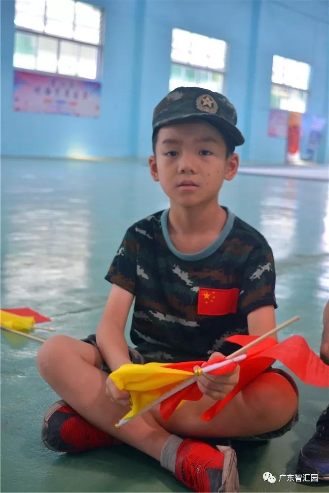 小小旗语兵优秀少年郎