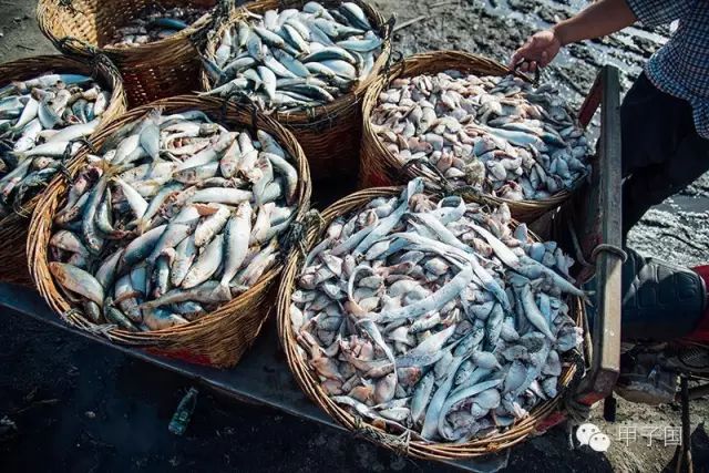 开渔后东宫码头是这样的