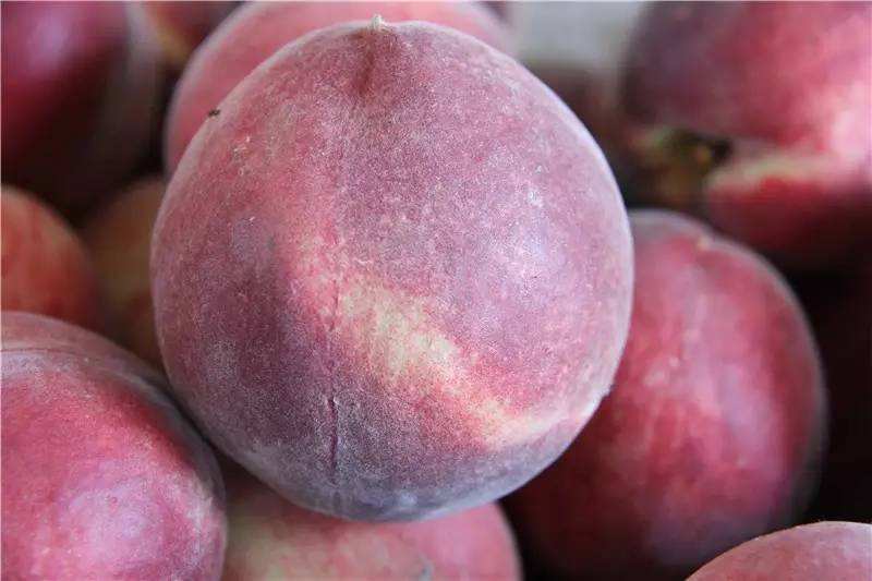 超市卖50元/斤的桃子,咱普通农户也能种!