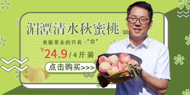 得益于湄潭冬无严寒,夏无酷暑的气候,这里的清水秋蜜桃汇集了山水之