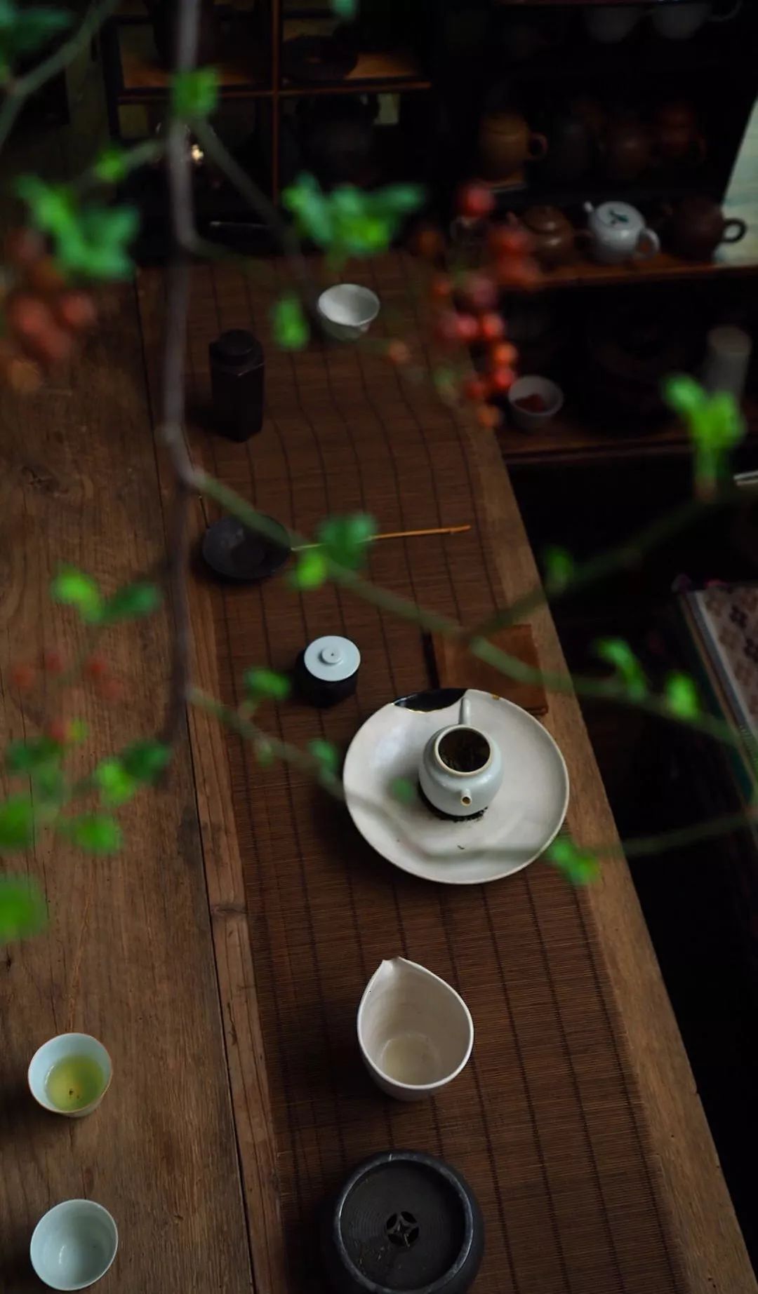 人还是要有点癖好,有兴趣爱好的人,更加快乐!