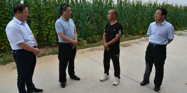 高玉峰到郑家镇调研产业发展 脱贫攻坚 农村人居环境改善和文明家庭