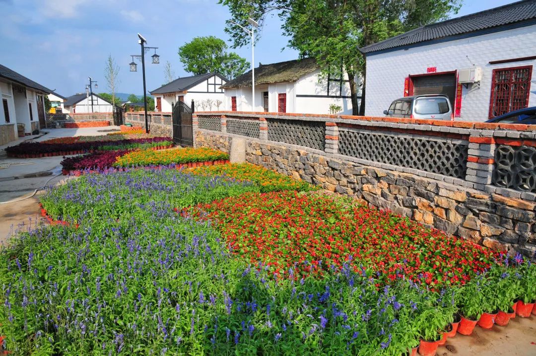 美丽乡村进行时美在京山