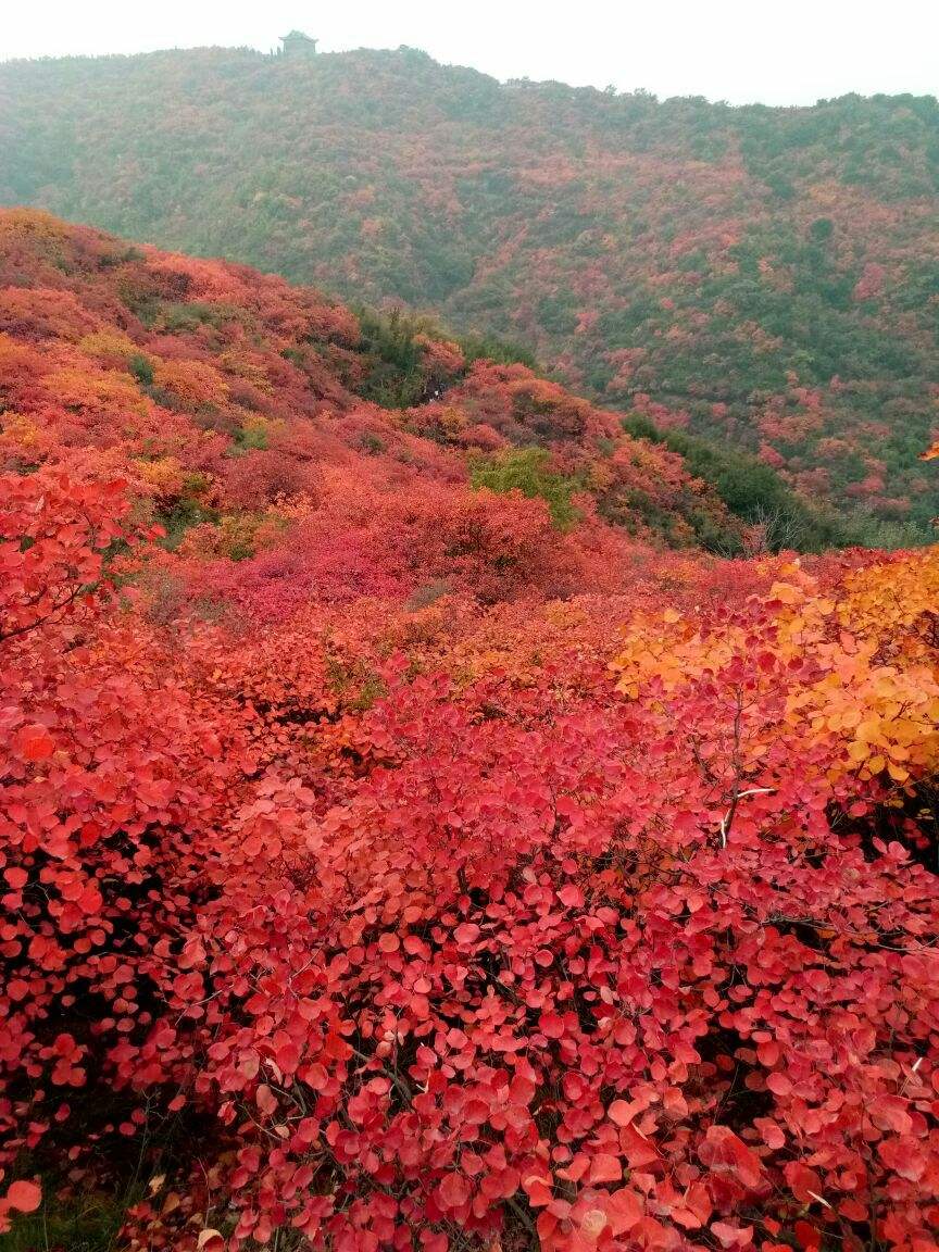 鞏義長壽山風景區門票多少鞏義長壽山風景區門票攻略路線